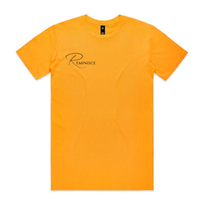 self perfection - Mens Staple T shirt - Mens Staple T shirt Thumbnail